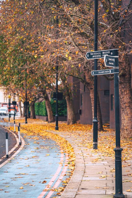Same day removals Tufnell Park what to know about availability